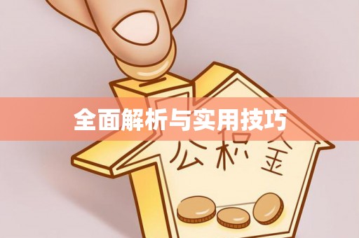 岳麓全面解析与实用技巧