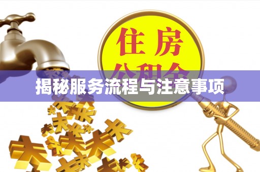 岳麓揭秘服务流程与注意事项