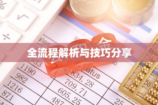 岳麓全流程解析与技巧分享